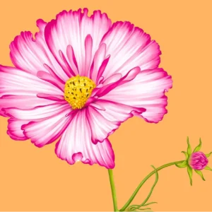 Wild Flowers in Procreate
