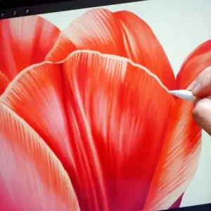 Masterclass for Procreate 2025 VIP offer