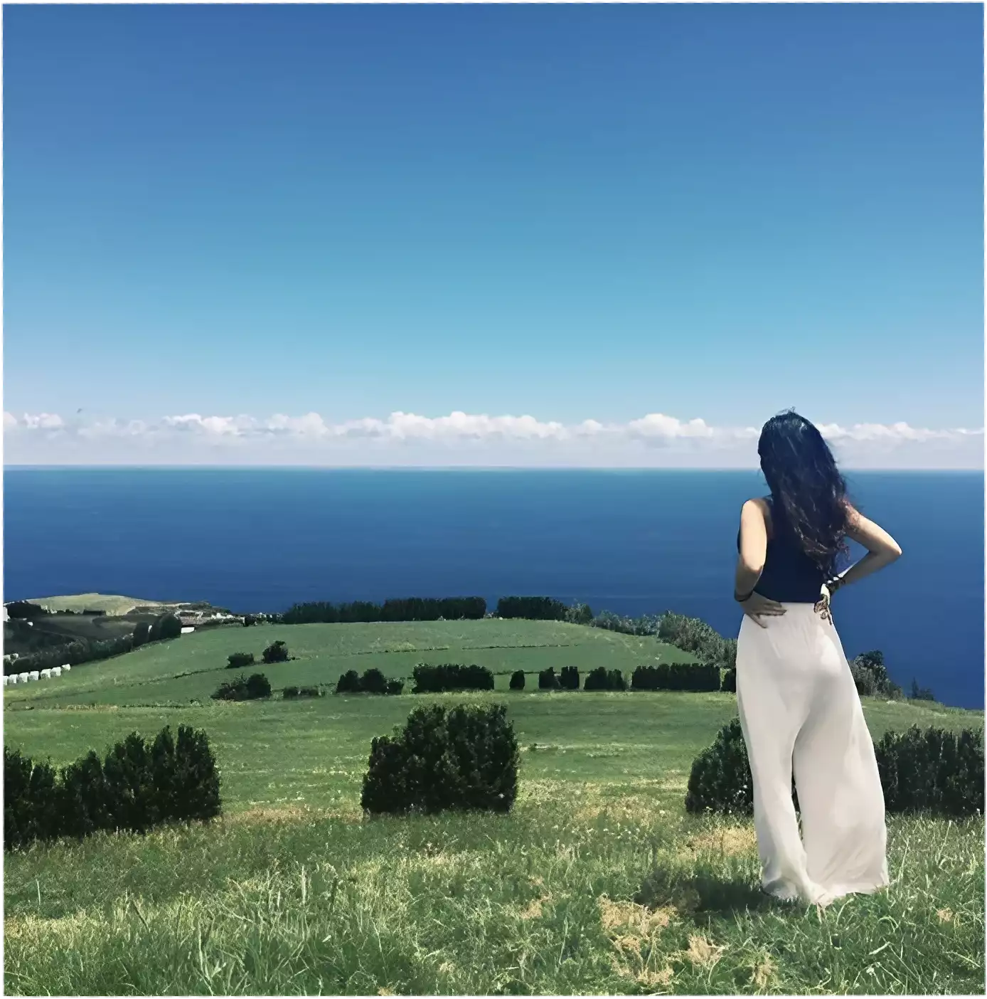 Post_Image