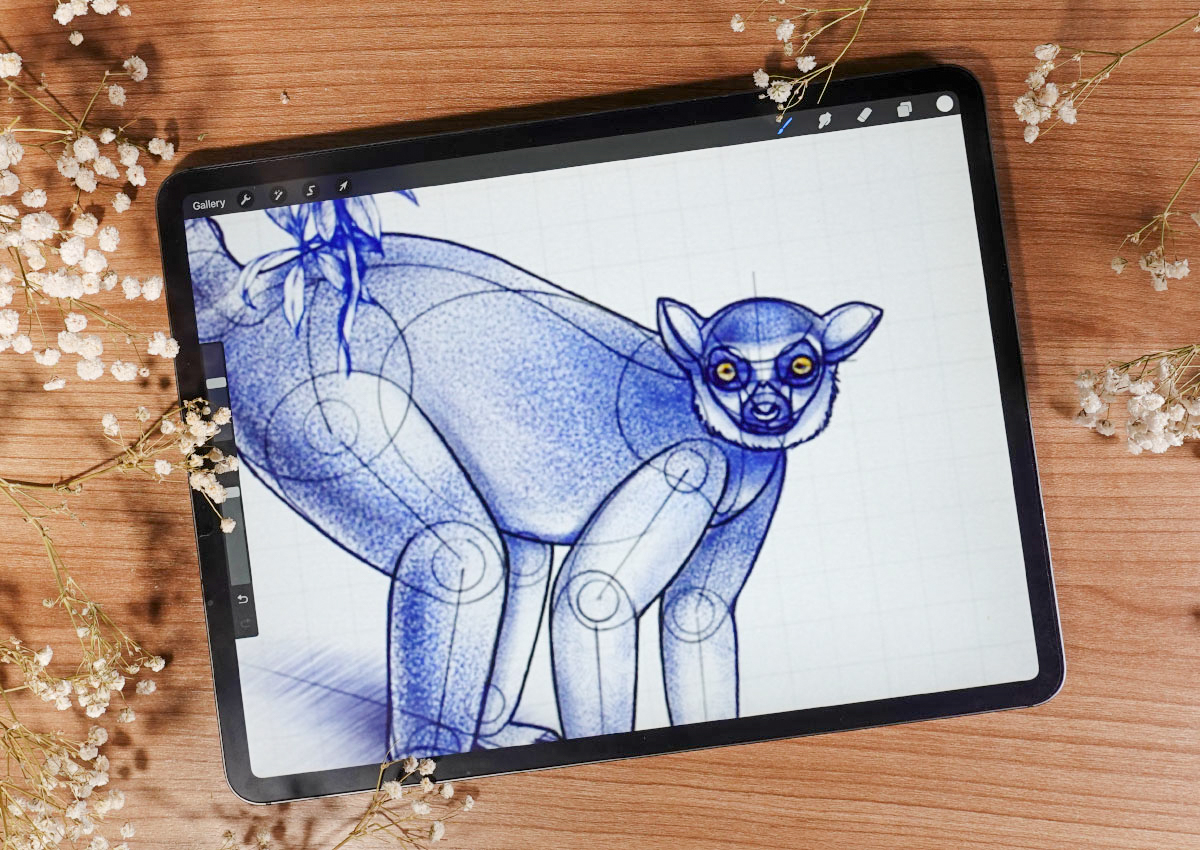 Freya's Wild Animal Drawing Templates - Image 3
