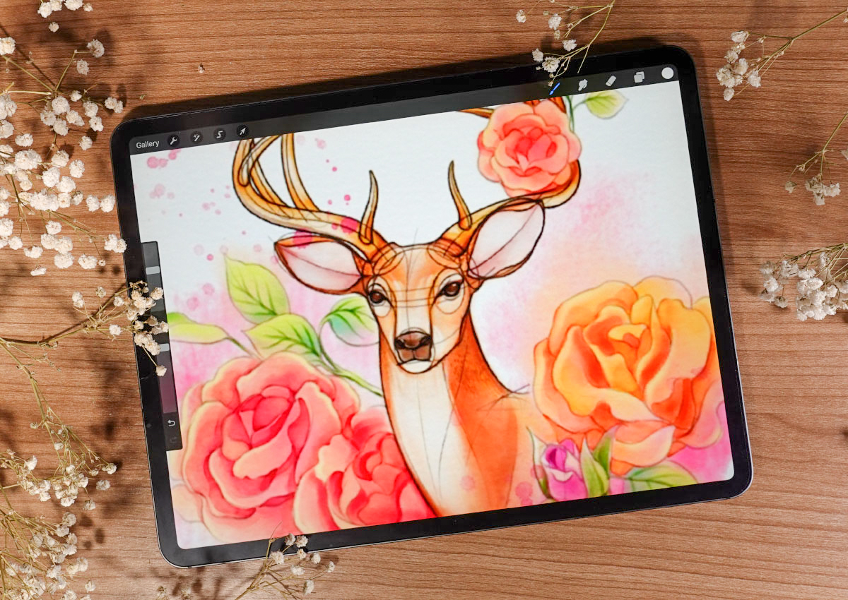 Freya's Wild Animal Drawing Templates - Image 4