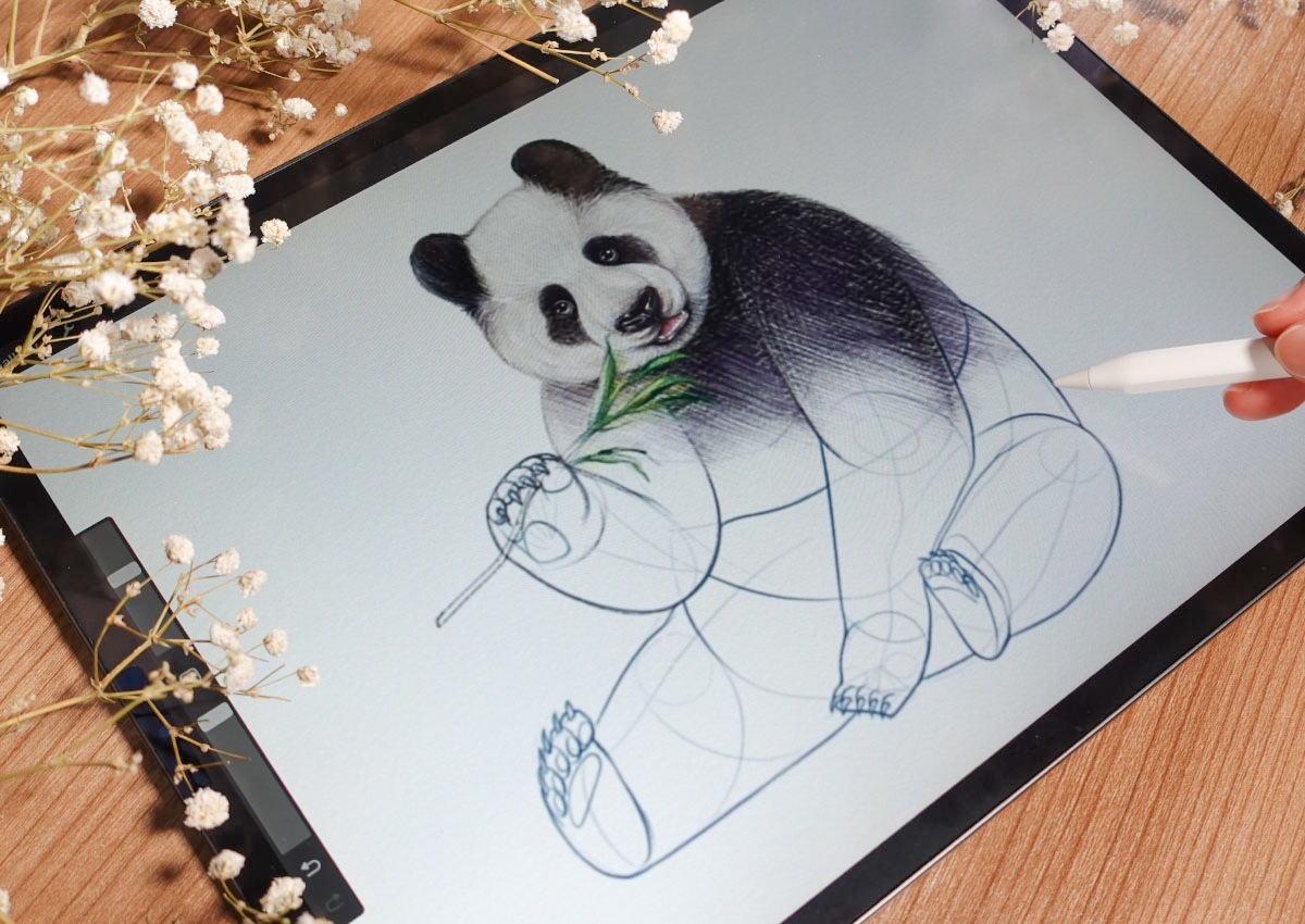 Freya's Wild Animal Drawing Templates - Image 6